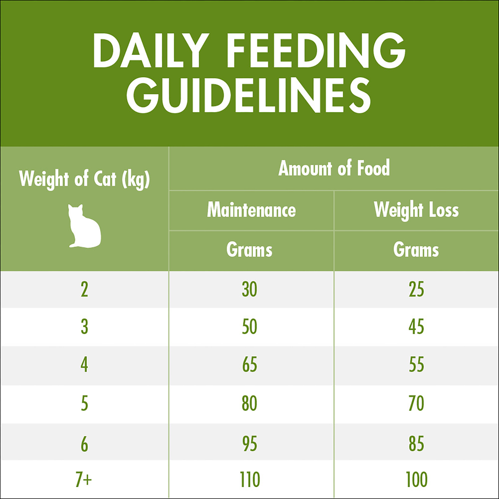 Adult Indoor Chicken Dry Cat Food