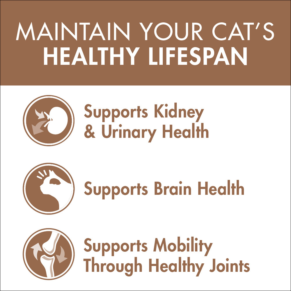 Adult Mature 7 Plus Chicken Dry Cat Food