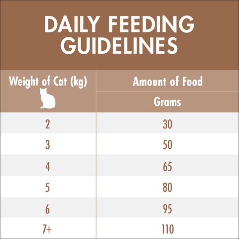 Adult Mature 7 Plus Chicken Dry Cat Food