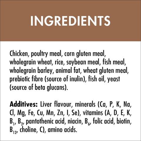 Adult Mature 7 Plus Chicken Dry Cat Food