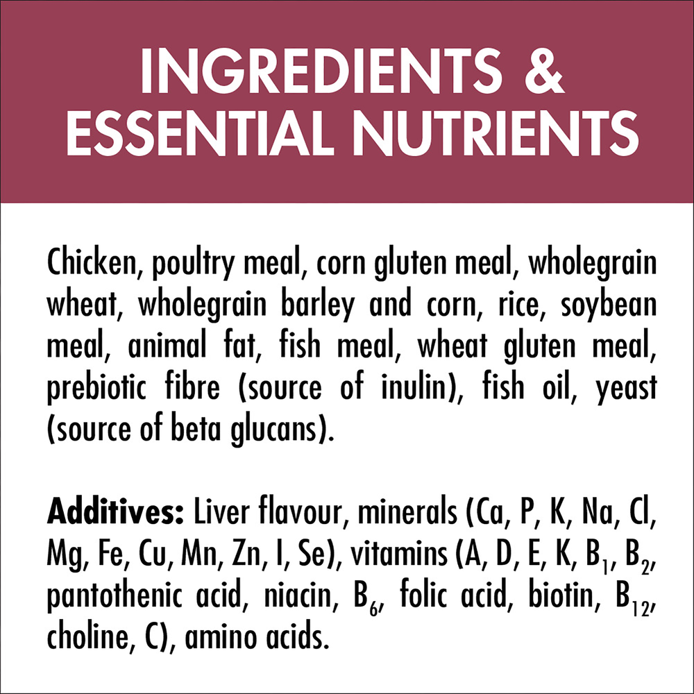 Adult Urinary Care Chicken Dry Cat Food