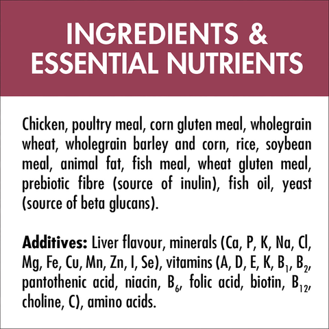 Adult Urinary Care Chicken Dry Cat Food