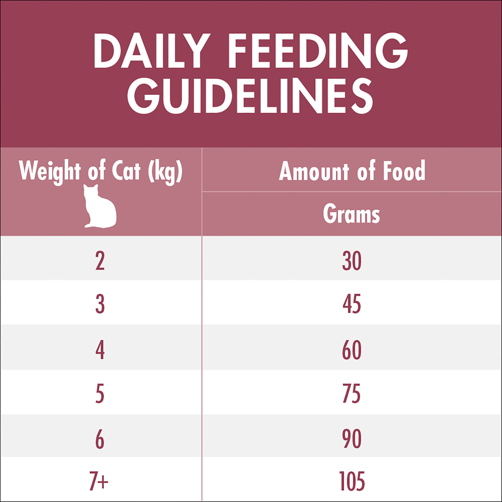 Adult Urinary Care Chicken Dry Cat Food