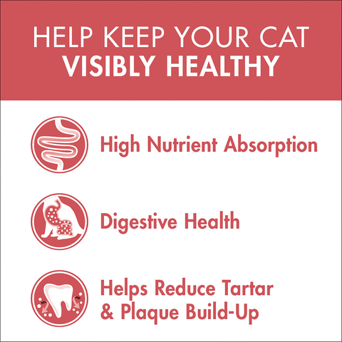 Healthy Adult Salmon And Tuna Dry Cat Food Bag