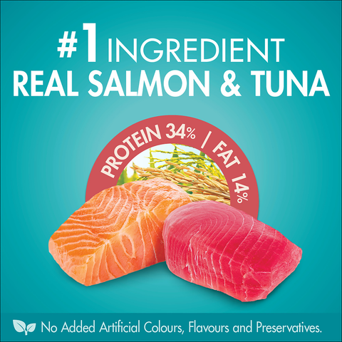 Healthy Adult Salmon And Tuna Dry Cat Food Bag