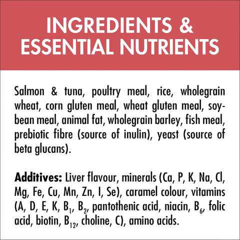 Healthy Adult Salmon And Tuna Dry Cat Food Bag