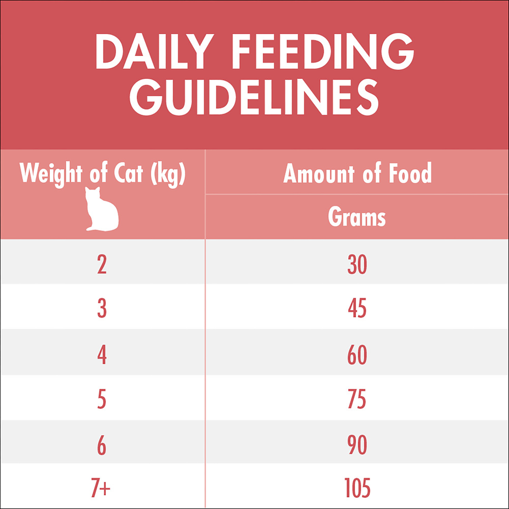 Healthy Adult Salmon And Tuna Dry Cat Food Bag