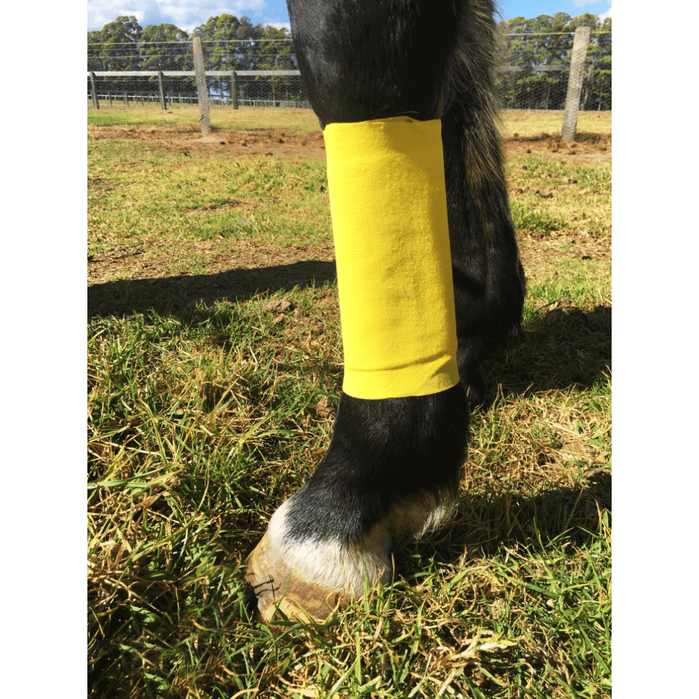 Essential Wrap Patch Horse Bandage