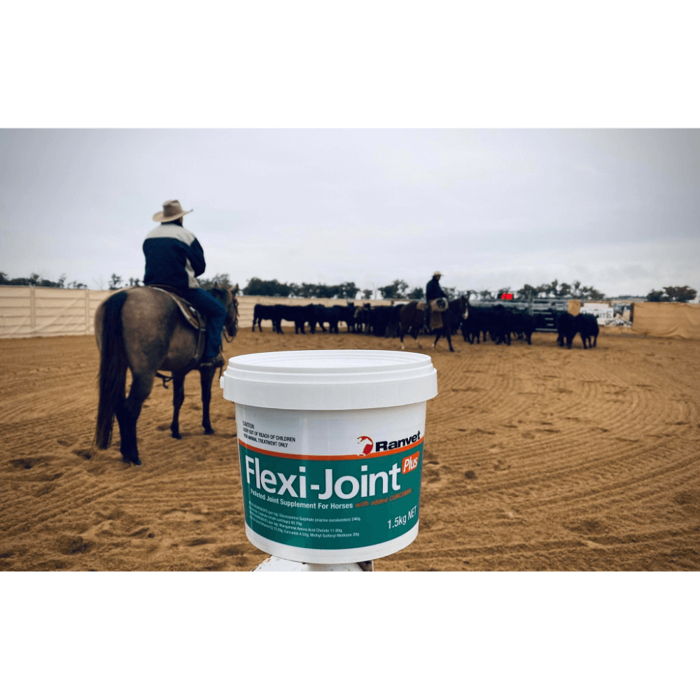Flexi Joint Plus Curcumin Horse Supplement