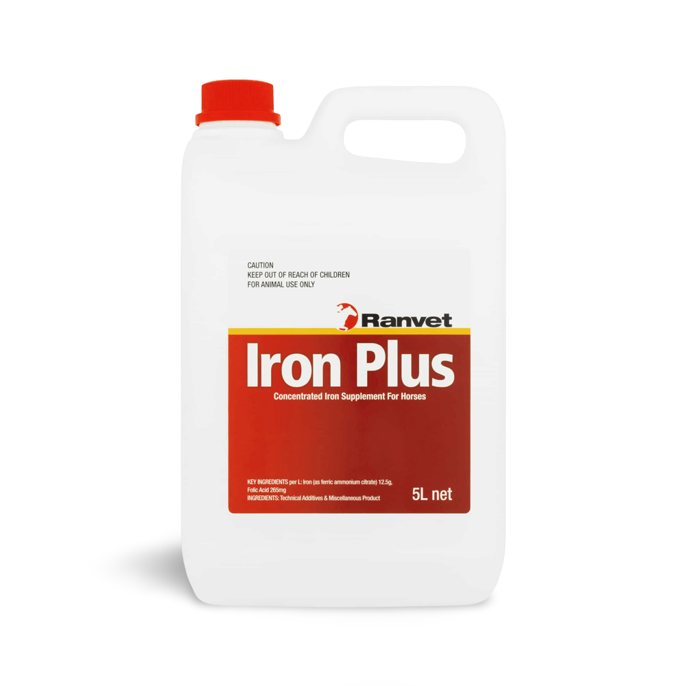 Iron Plus With Folic Acid