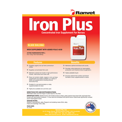 Iron Plus With Folic Acid