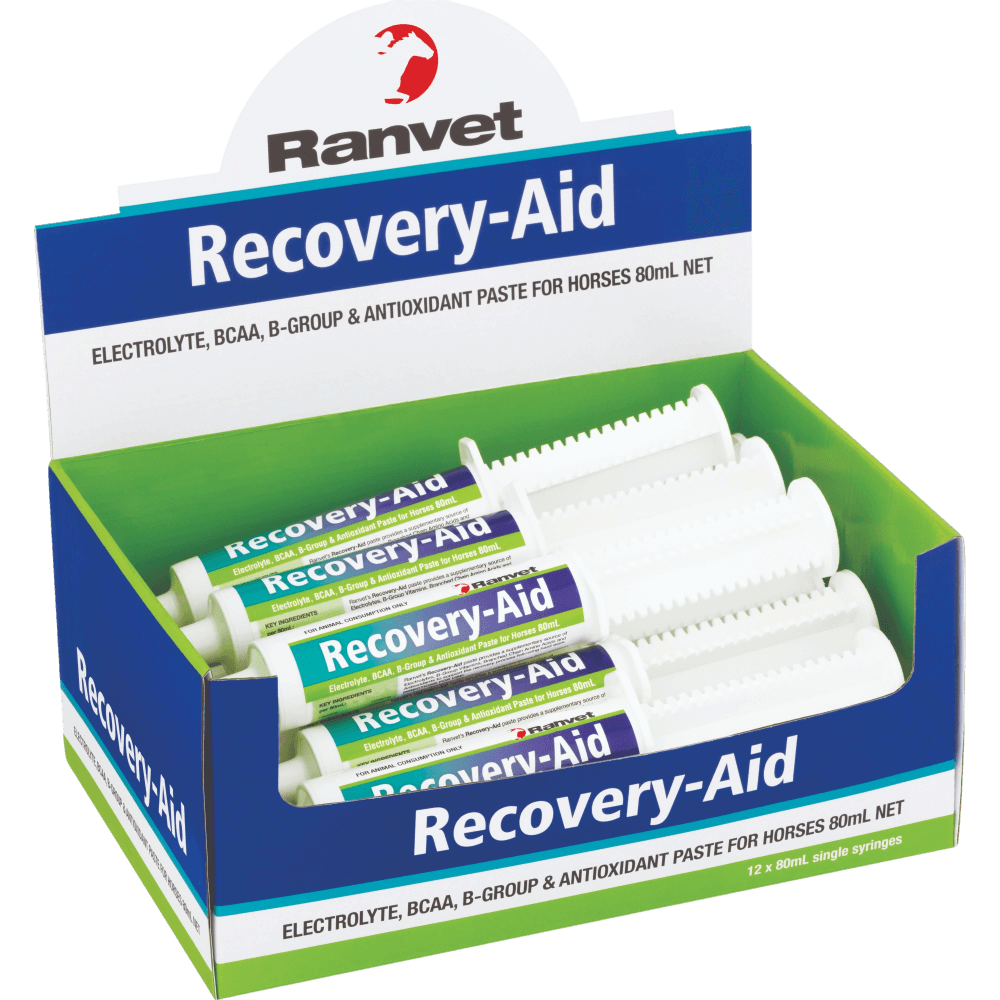 Recovery Aid Paste Horse Supplement
