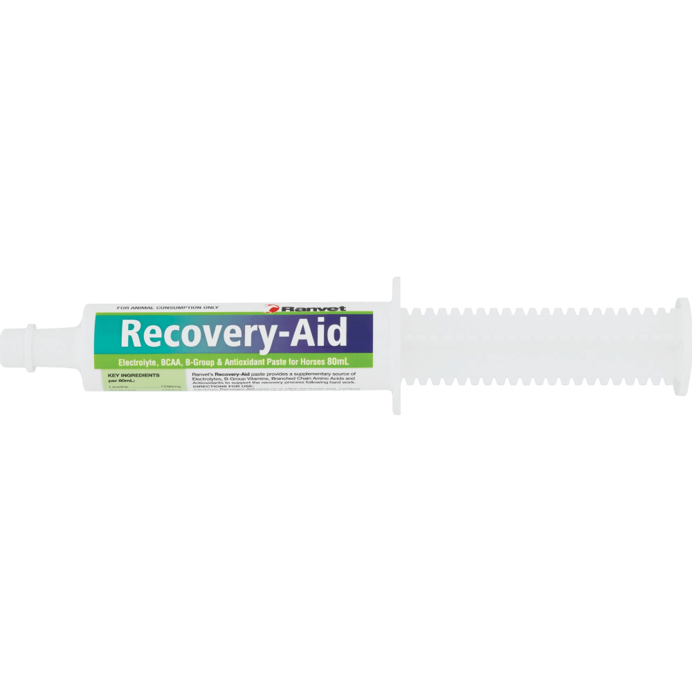 Recovery Aid Paste Horse Supplement