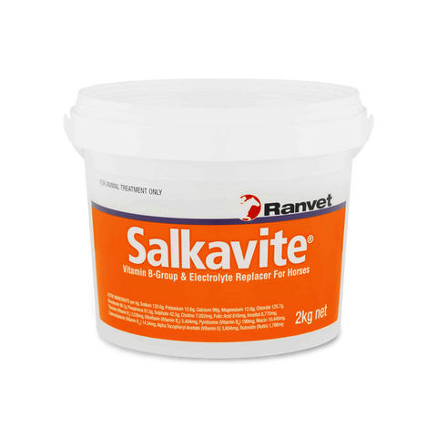 Salkavite Electrolyte Replacer With Vitamin B