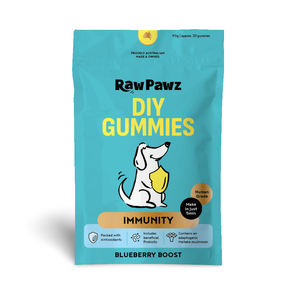Blueberry Boost Immunity Diy Gummies Dog Treats
