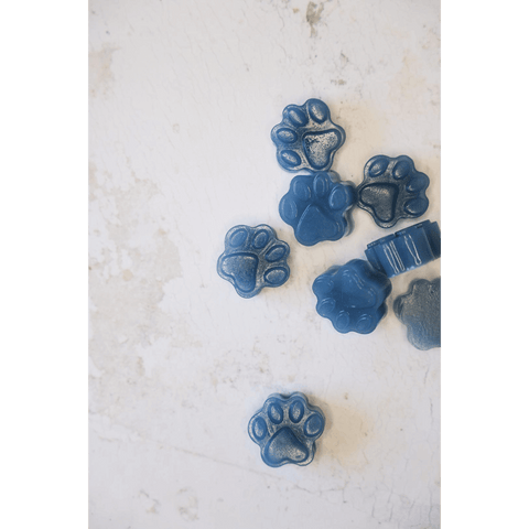 Blueberry Boost Immunity Diy Gummies Dog Treats