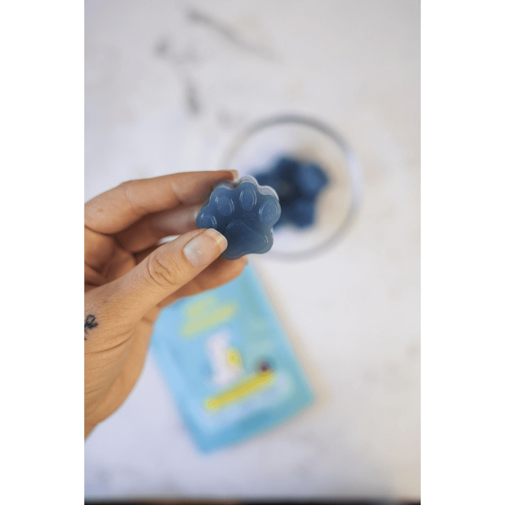 Blueberry Boost Immunity Diy Gummies Dog Treats