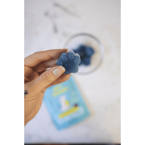 Blueberry Boost Immunity Diy Gummies Dog Treats