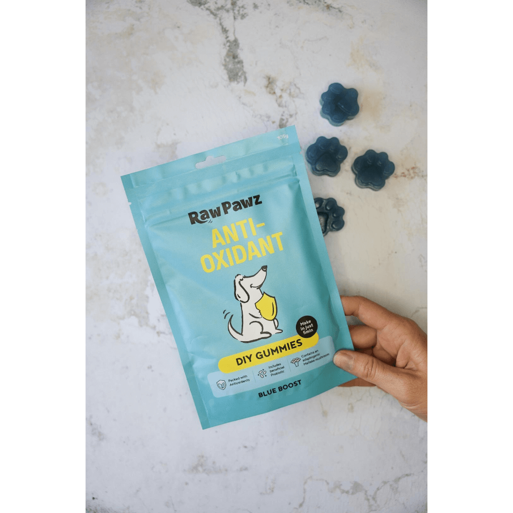 Blueberry Boost Immunity Diy Gummies Dog Treats