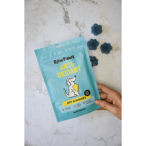 Blueberry Boost Immunity Diy Gummies Dog Treats
