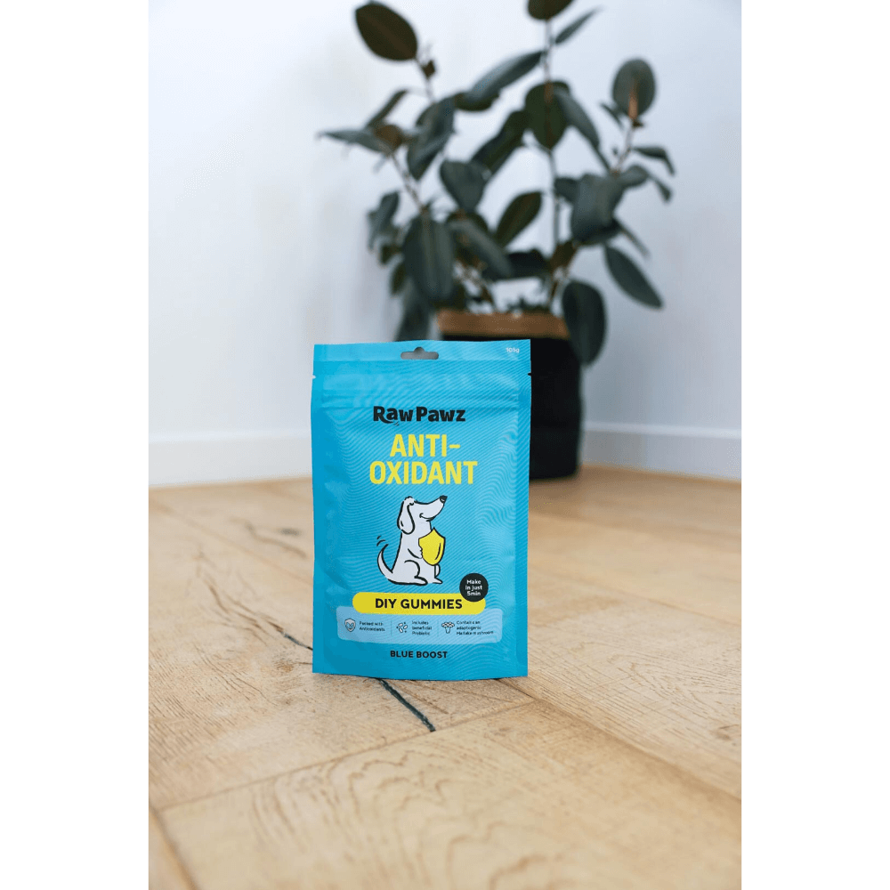 Blueberry Boost Immunity Diy Gummies Dog Treats