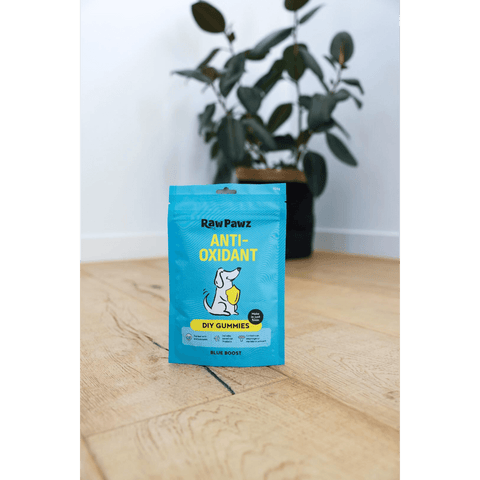 Blueberry Boost Immunity Diy Gummies Dog Treats