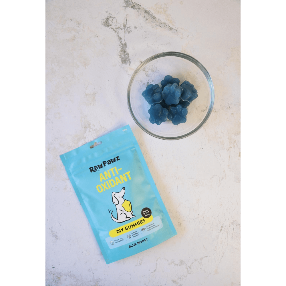 Blueberry Boost Immunity Diy Gummies Dog Treats