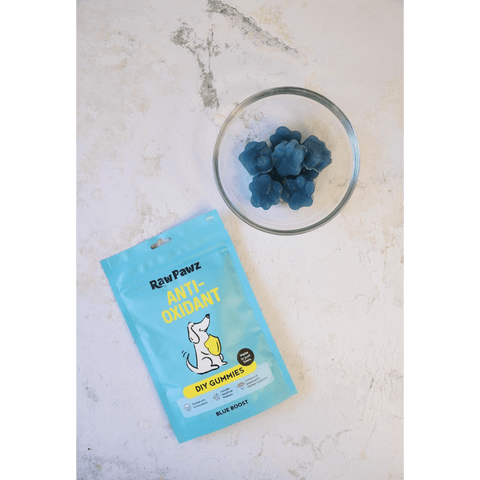 Blueberry Boost Immunity Diy Gummies Dog Treats