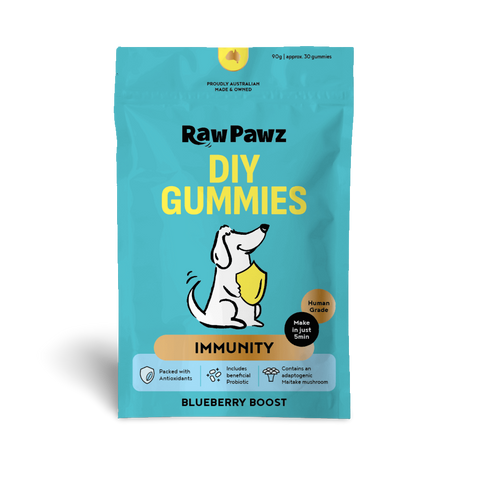 Blueberry Boost Immunity Diy Gummies Dog Treats