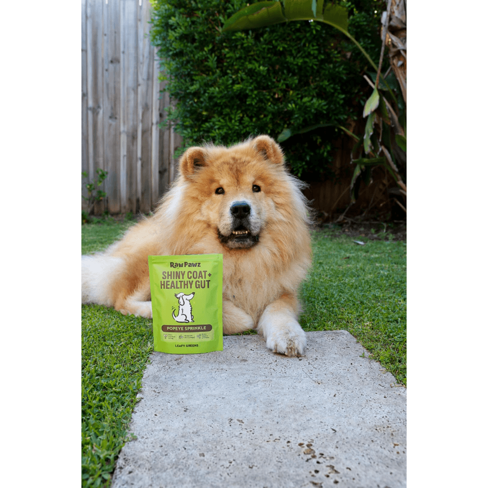 Essential Greens Shiny Coat Meal Topper For Dogs