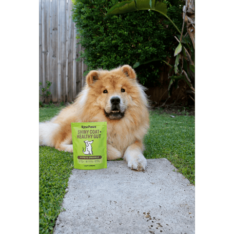 Essential Greens Shiny Coat Meal Topper For Dogs
