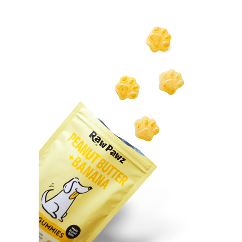 Green Banana Starch And Peanut Butter Diy Gummies Dog Treats