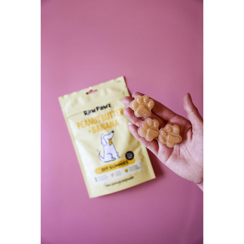 Green Banana Starch And Peanut Butter Diy Gummies Dog Treats