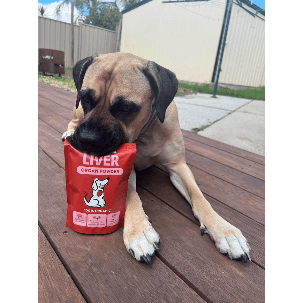 Organic Liver Organ Powder For Dogs
