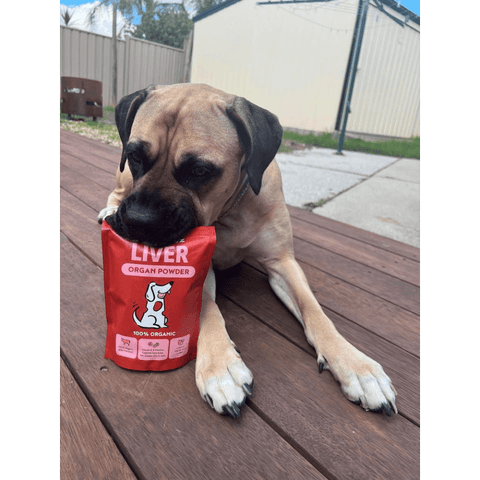 Organic Liver Organ Powder For Dogs