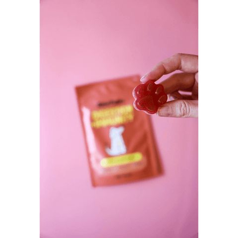 Red Velvet Diy Gummies Dog Treats