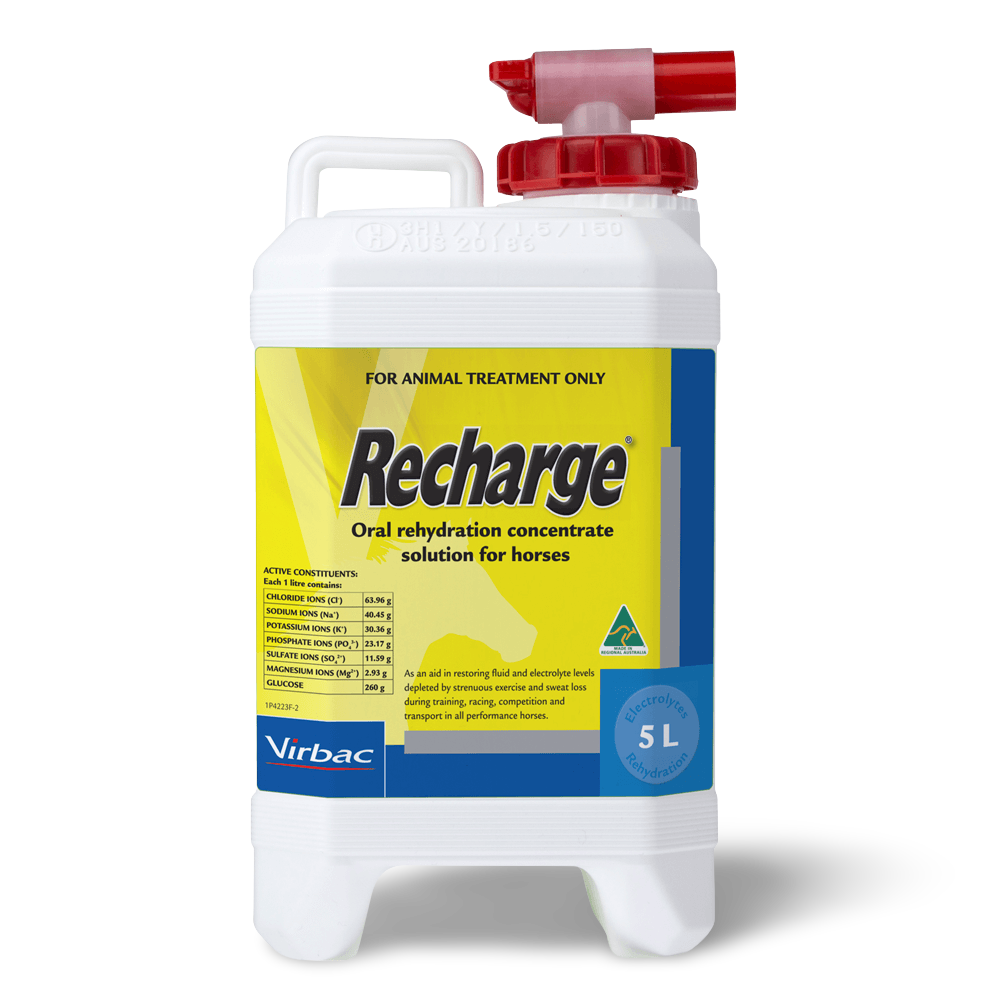 Recharge Horse Rehydration Concentrate