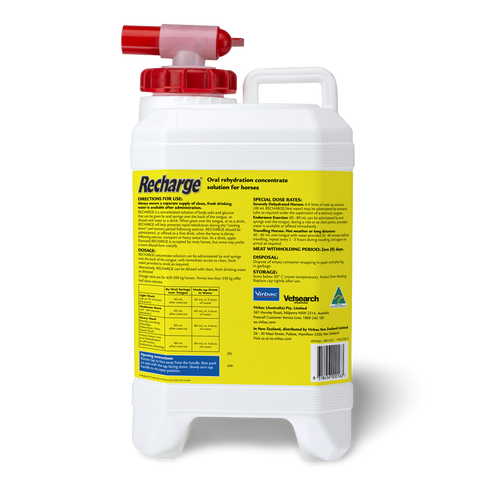 Recharge Horse Rehydration Concentrate