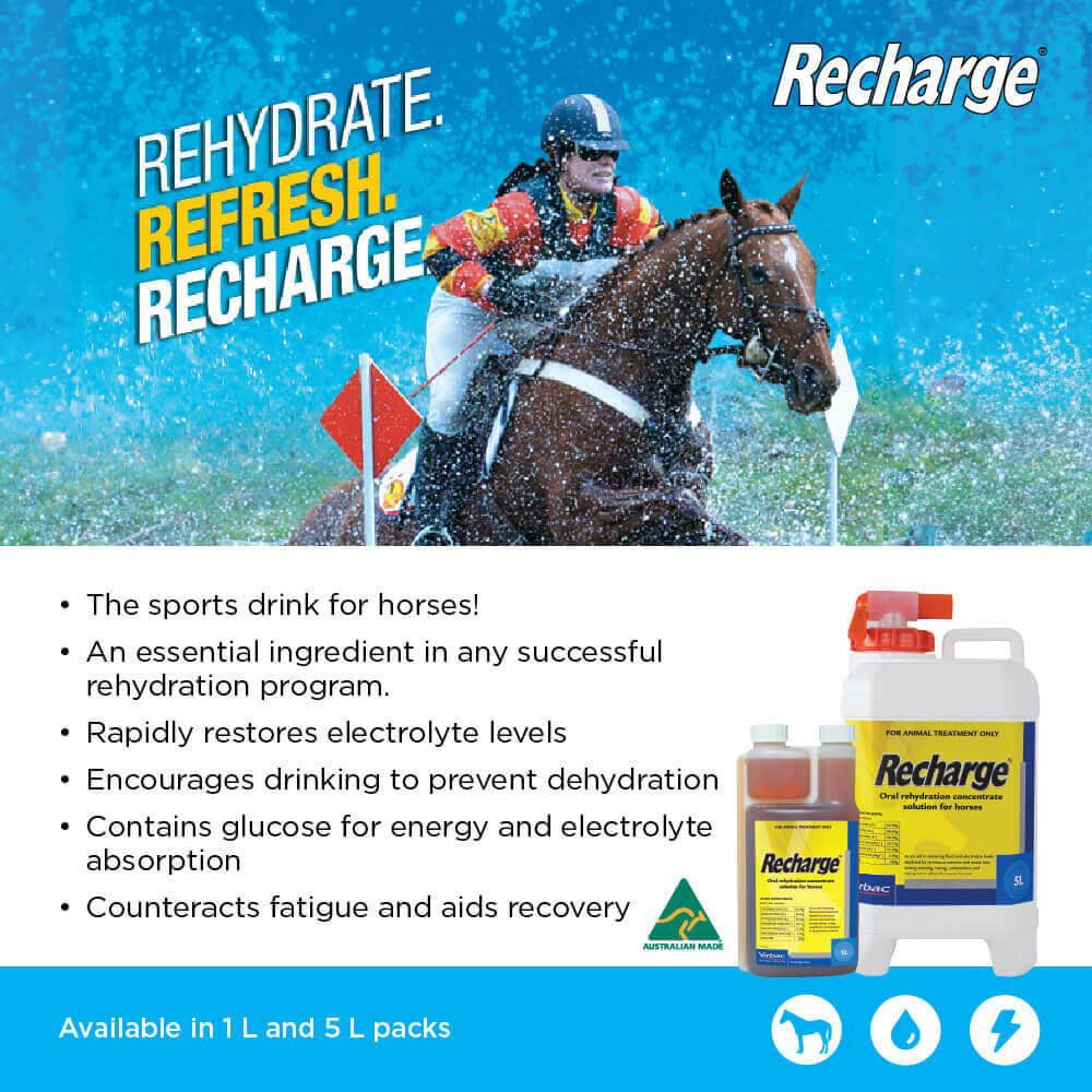 Recharge Horse Rehydration Concentrate