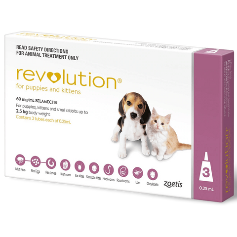 Puppy Kitten Flea & Worm Spot-On Pink