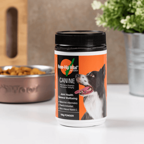 Canine Joint Supplement For Dogs