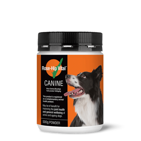 Canine Joint Supplement For Dogs