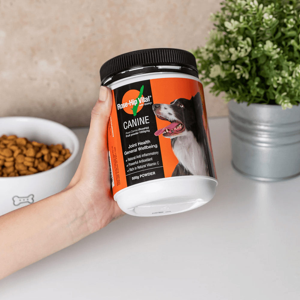 Canine Joint Supplement For Dogs