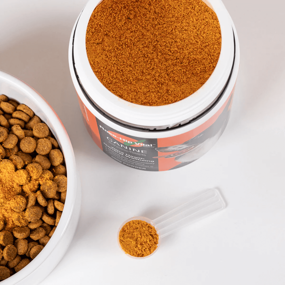Canine Joint Supplement For Dogs