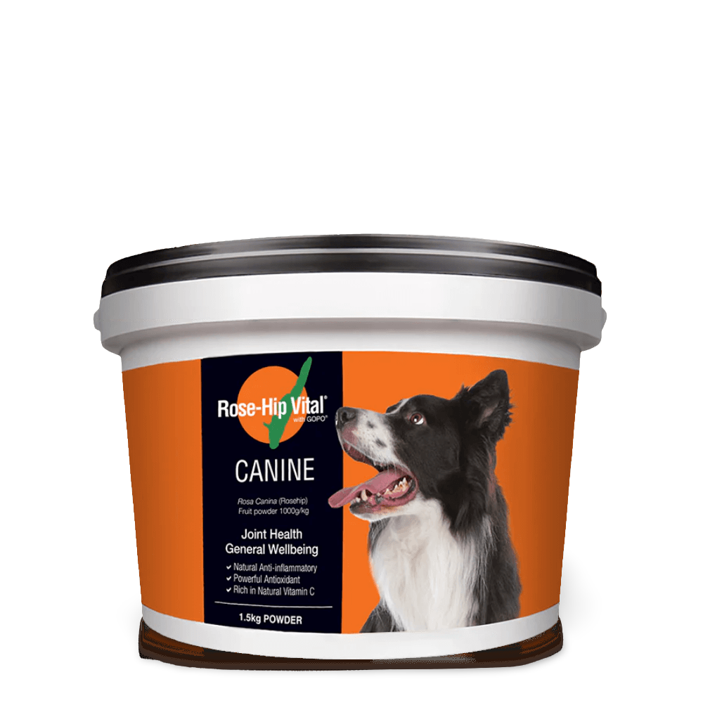 Canine Joint Supplement For Dogs