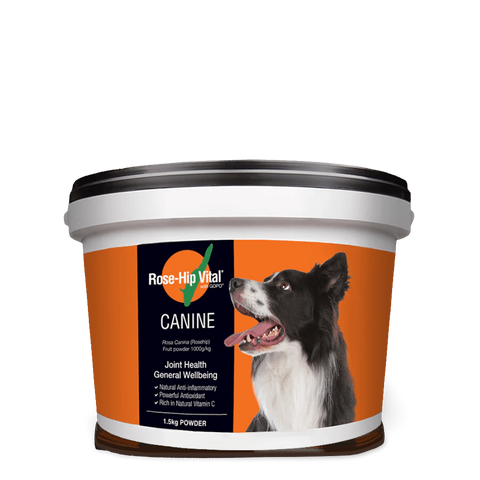 Canine Joint Supplement For Dogs