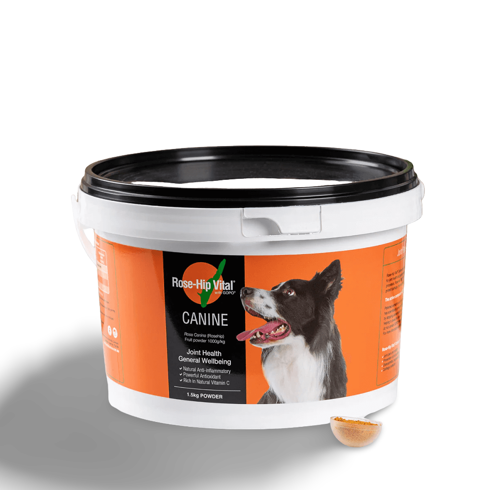 Canine Joint Supplement For Dogs