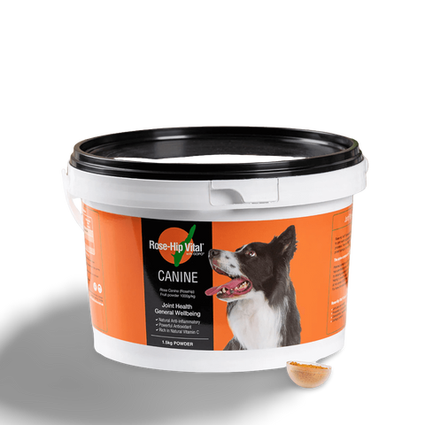 Canine Joint Supplement For Dogs