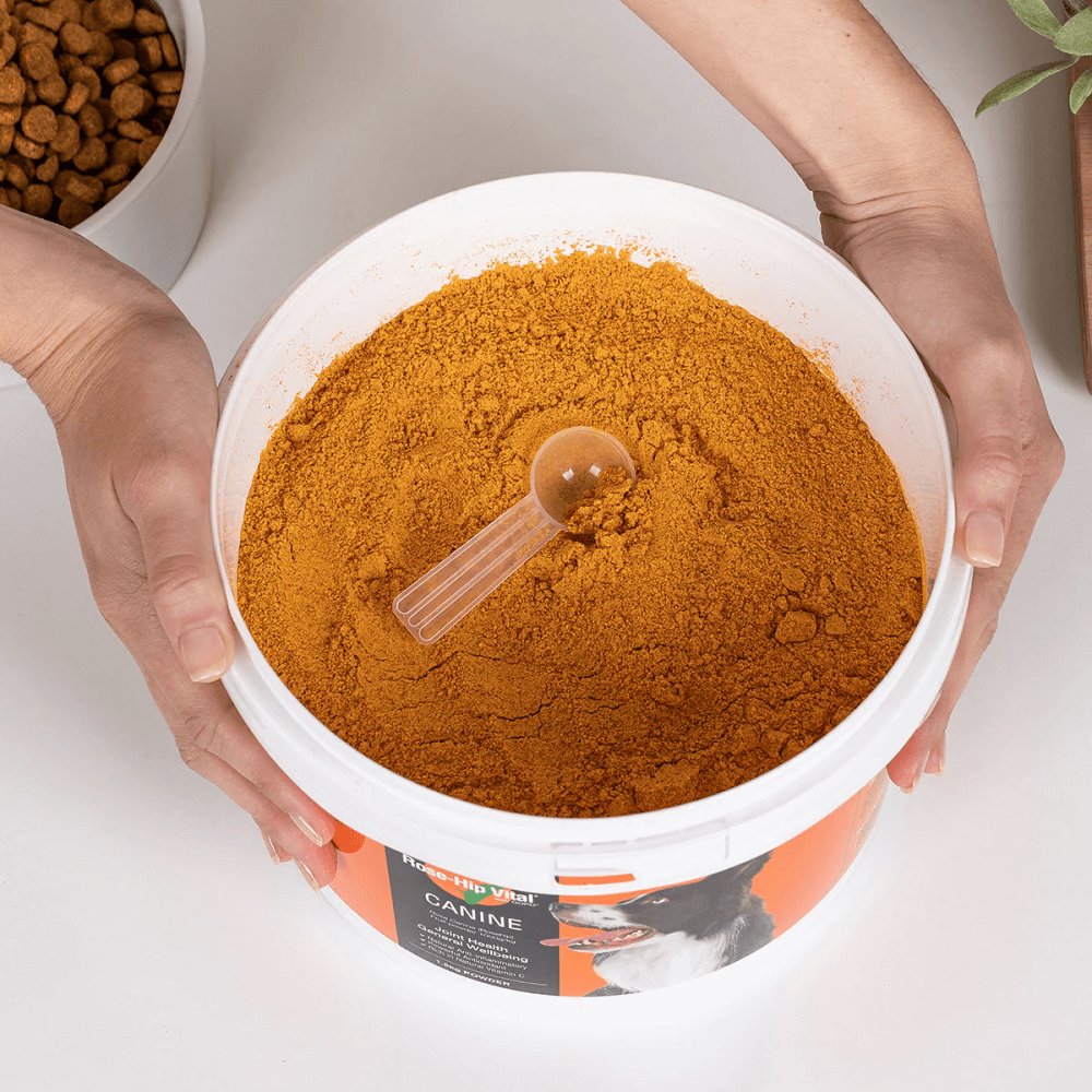 Canine Joint Supplement For Dogs