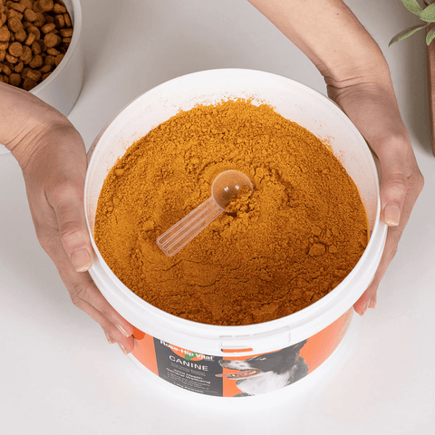 Canine Joint Supplement For Dogs